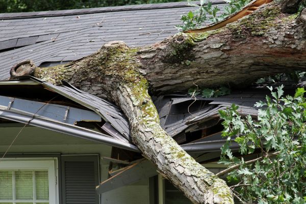 Storm Remediation in Chattanooga