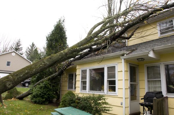 Storm Damage Mitigation in Chattanooga